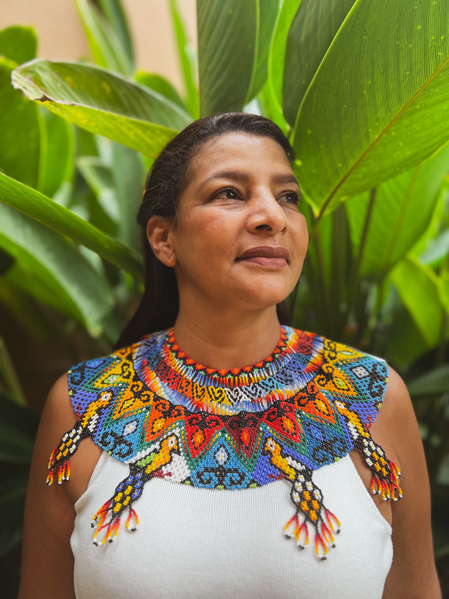 Okama Pavo Real ✻ Embera Beaded Necklace